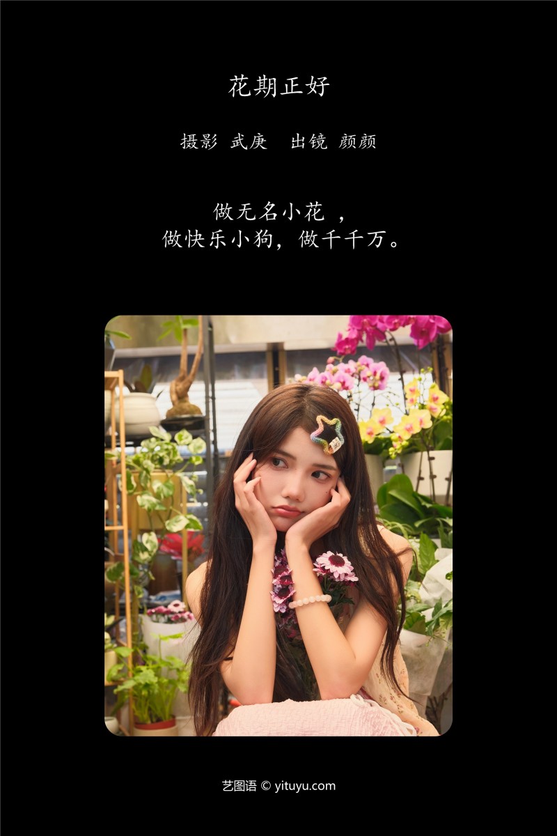 YITUYU艺图语 2025.01.12 花期正好 多米Domy-星之迟迟